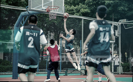 数据归档整理快速检索到位